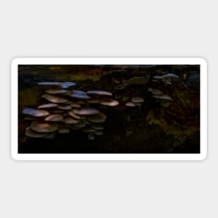 Woodland Funghi Sticker